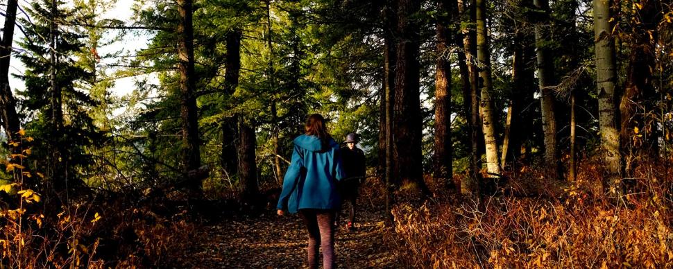 Person walking on trail in civic park in the fall
