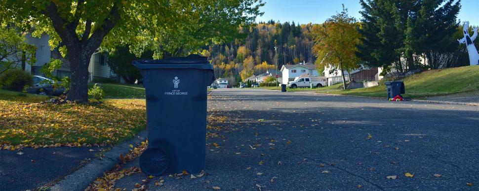 A garbage bin outside a house on a residential street in the autumn.