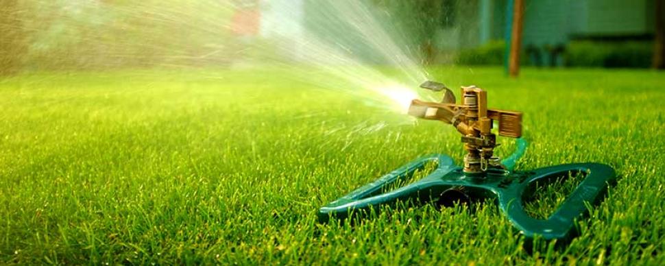A sprinkler watering a green lawn